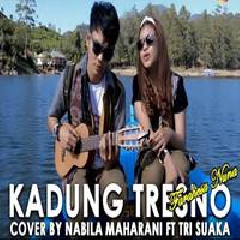 Nabila Maharani - Kadung Tresno Ft. Tri Suaka (Cover) Mp3