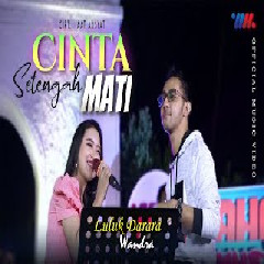 Luluk Darara - Cinta Setengah Hati feat Wandra Mp3