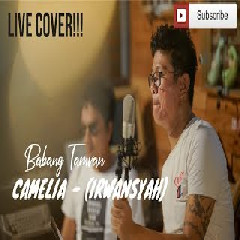 Andika Mahesa - Camelia (Cover) Mp3