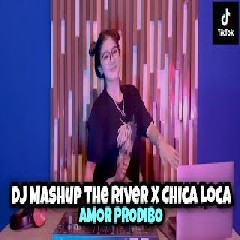 Dj Imut - Dj Mashup The River X Chica Loca X Amor Podibo Mp3